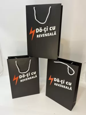 Punga CADOU #daticureveneala CARTON 36x24x9
