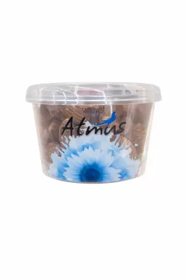 ATMUS- MIGDALE COPTE